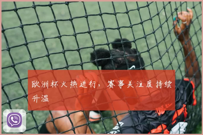 欧洲杯火热进行，赛事关注度持续升温