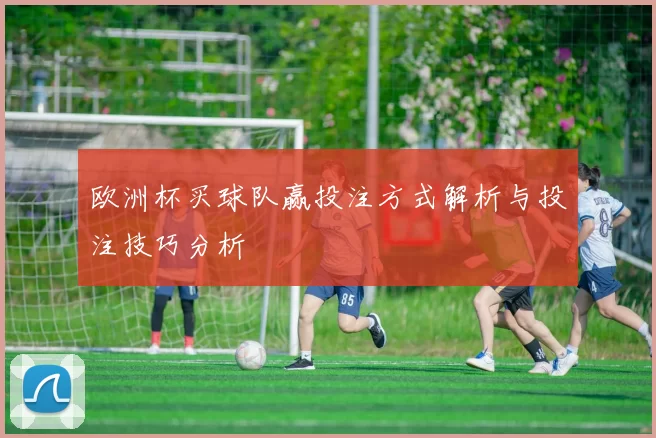 欧洲杯买球队赢投注方式解析与投注技巧分析