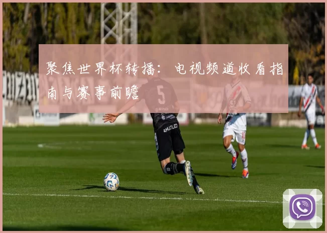 聚焦世界杯转播：电视频道收看指南与赛事前瞻