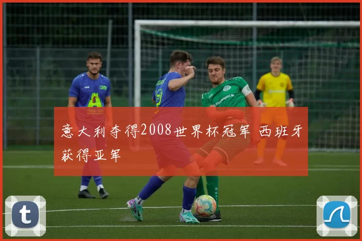 意大利夺得2008世界杯冠军 西班牙获得亚军