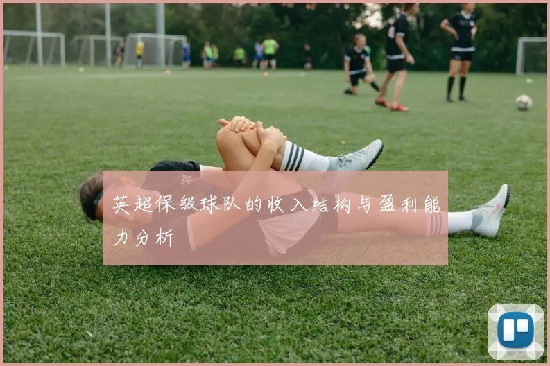 英超保级球队的收入结构与盈利能力分析