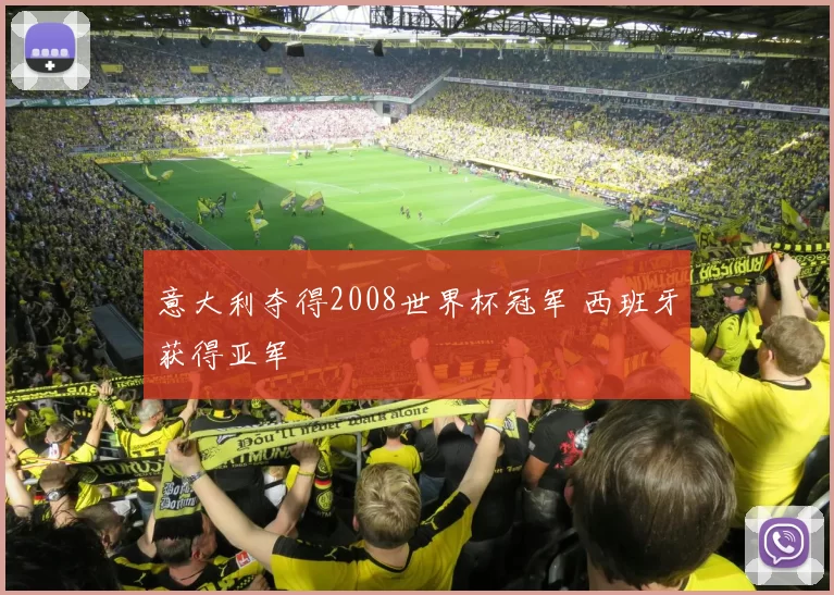 意大利夺得2008世界杯冠军 西班牙获得亚军