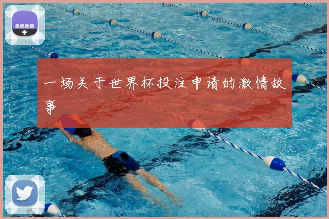 一场关于世界杯投注申请的激情故事