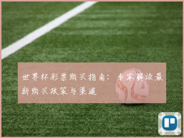 世界杯彩票购买指南：专家解读最新购买政策与渠道