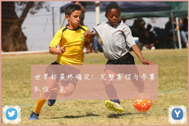 世界杯最终确定：完整赛程与参赛队伍一览