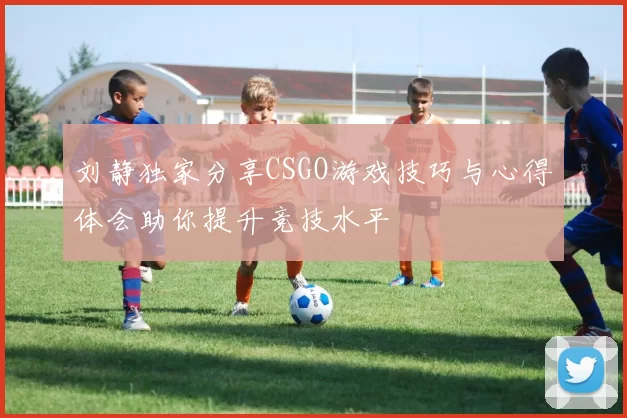 刘静独家分享CSGO游戏技巧与心得体会助你提升竞技水平