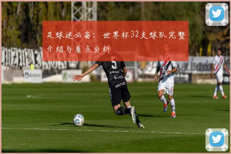 足球迷必备：世界杯32支球队完整介绍与看点分析